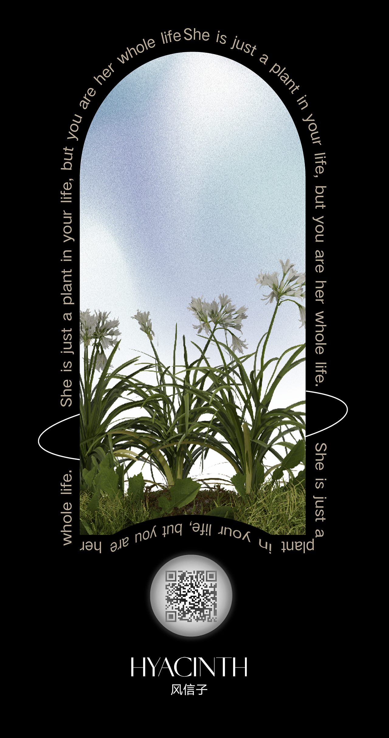 #2022青春答卷#彼岸花园-HANA TEXT