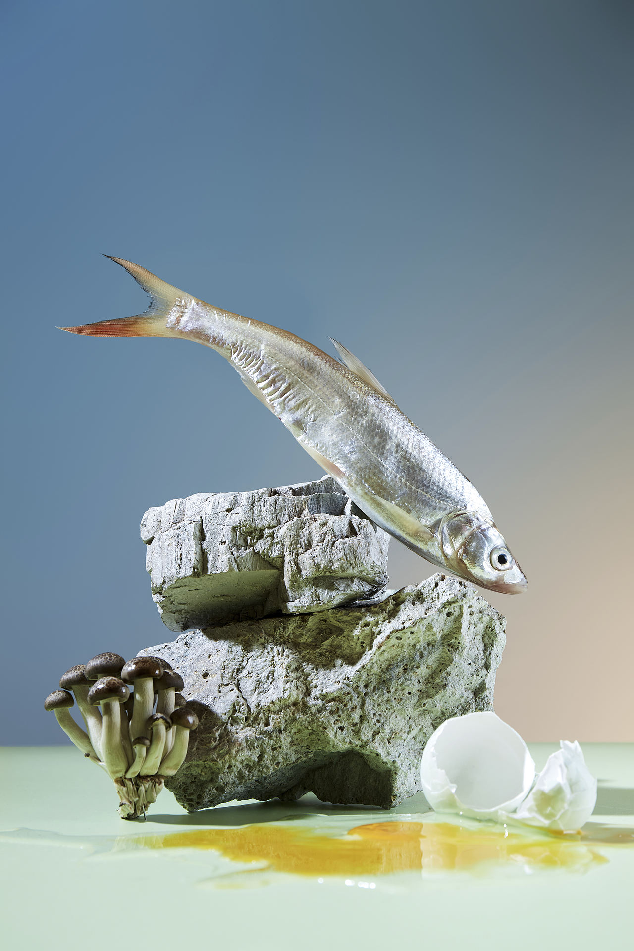 #WOW 厨房畅想曲 ✖ INMANVISION