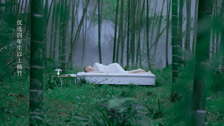 品牌视觉全案 | 竹蔓韵 竹韵自然,安心深睡