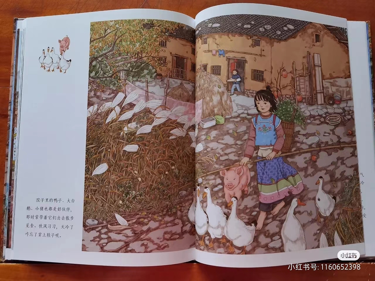 绘本《致我们亲爱的故乡》二印的签绘明信片