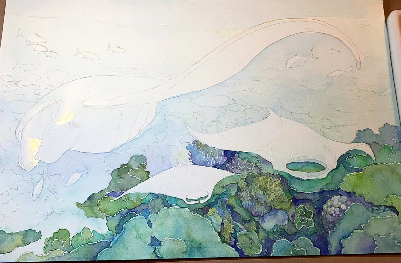 濒危动物系列水彩插画——蝠鲼