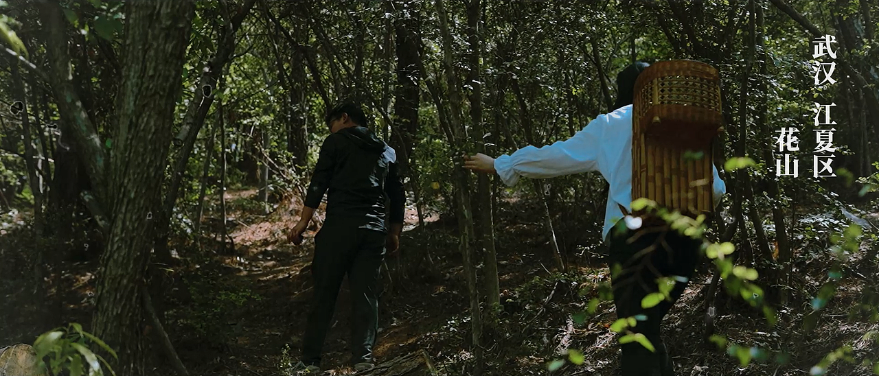 方絮-古法造纸体验馆品牌形象设计毕设纪录片宣传视频（图ZMzQxOTUyOTE2） - 人文/纪实摄影 - 站酷设计师见习飞行员原创素材 - 站酷ZCOOL