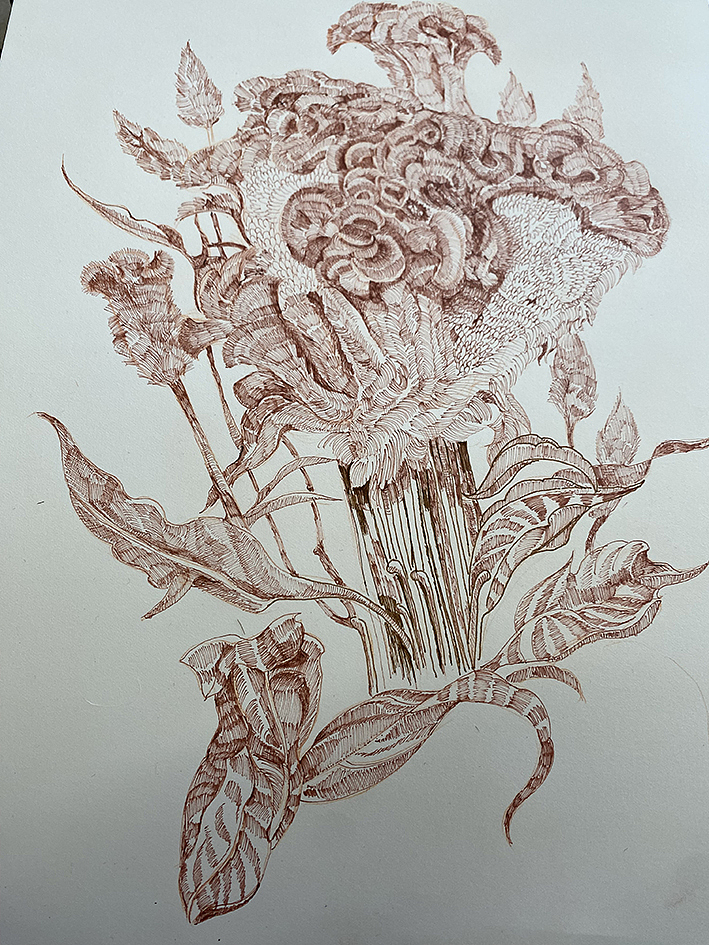 花卉插画与包装