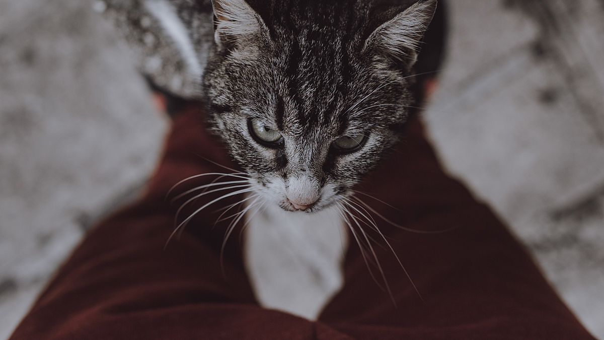 亚速海往事（图ZMjk2MTk5NDA0） - 人文/纪实摄影 - 站酷设计师海螺壳原创素材 - 站酷ZCOOL