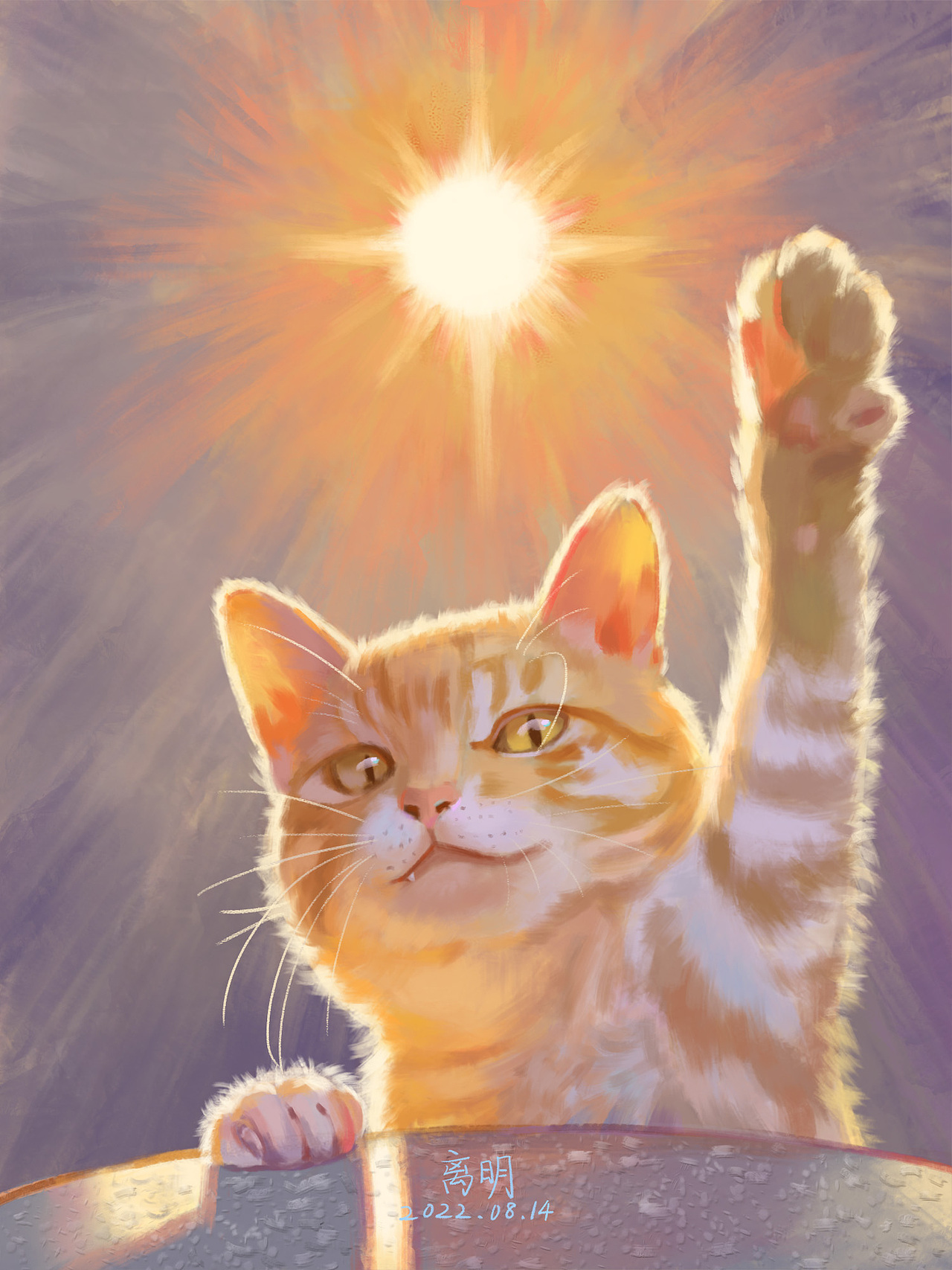 9天色彩打卡合集