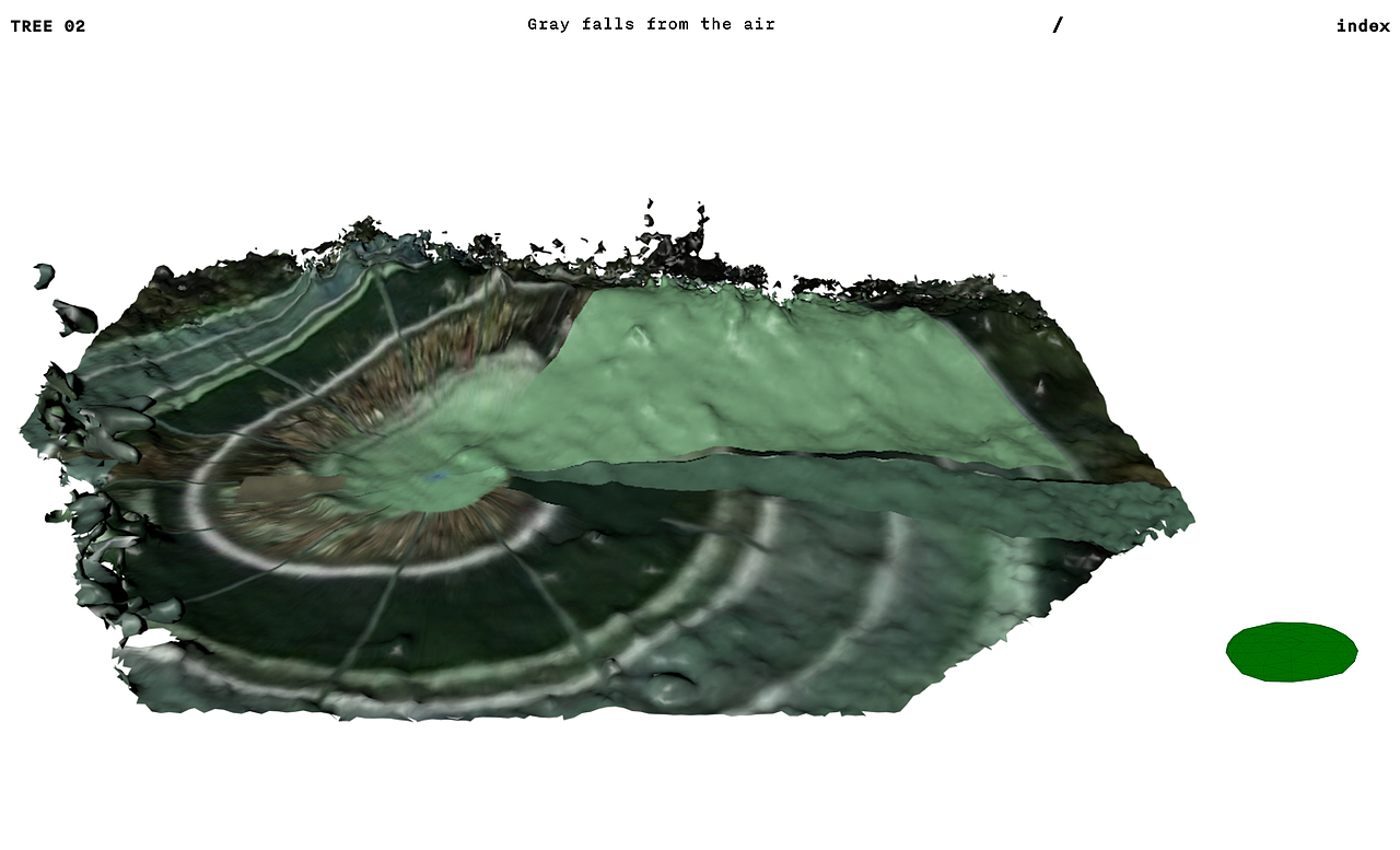 #2022青春答卷#第二棵树｜TREE 02（图ZMzA0MTEwNzMy） - 其他网页 - 站酷设计师央美设计学院原创素材 - 站酷ZCOOL