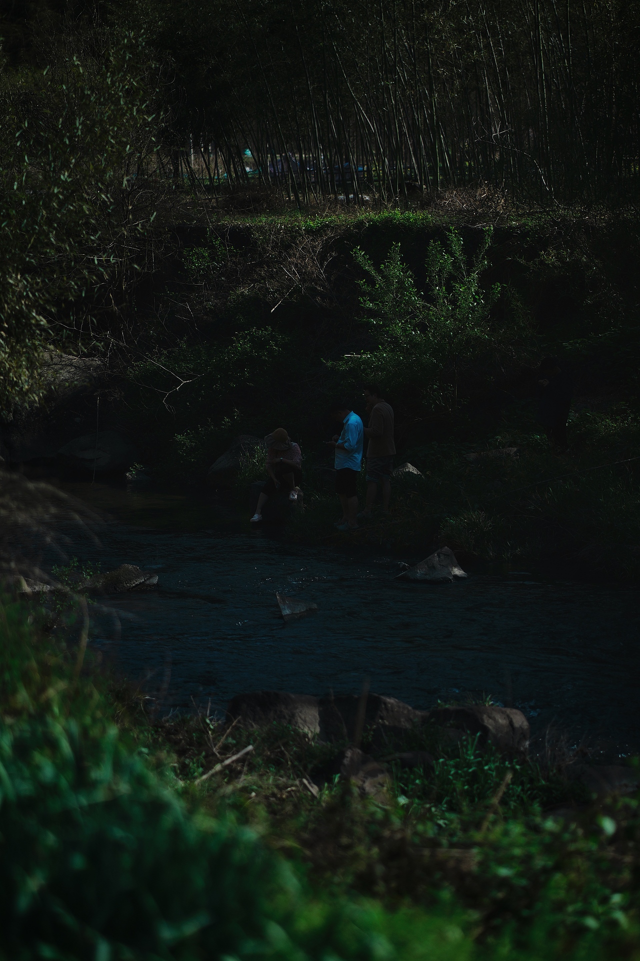 CHOICE游记摄影 I 莫干山（图ZMzY1ODU3OTky） - 风光摄影 - 站酷设计师CHOICE窍思原创素材 - 站酷ZCOOL