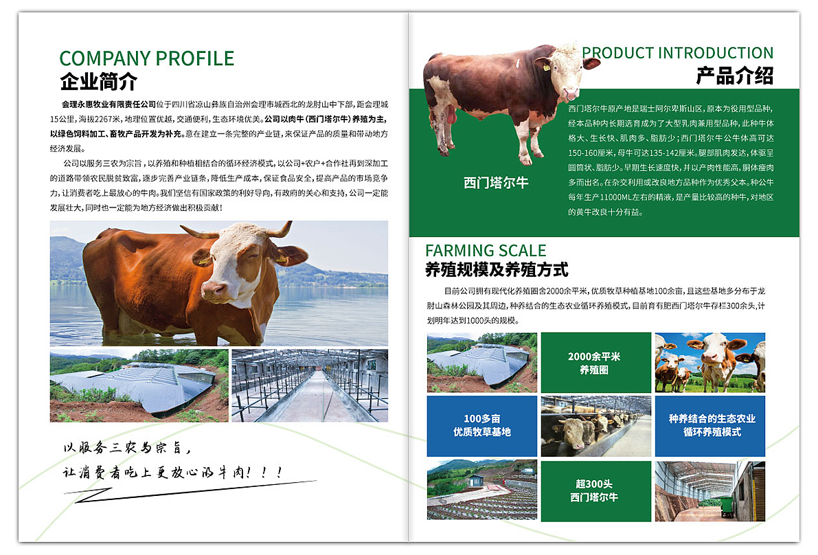 农牧业logo-宣传折页设计