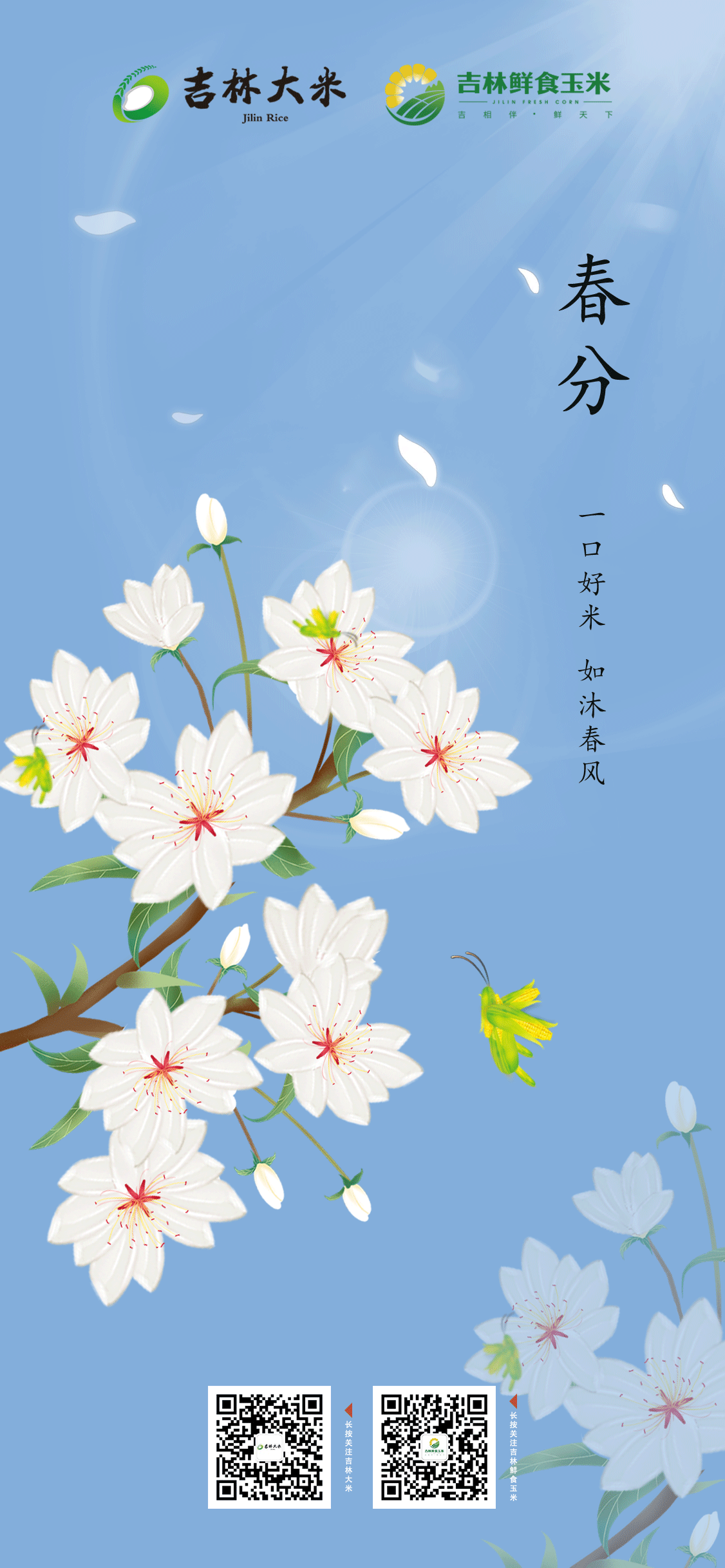 新媒體海報(bào)（圖ZMzEzOTIyMTA4） - 其他 - 站酷設(shè)計(jì)師一抹萱草原創(chuàng)素材 - 站酷ZCOOL