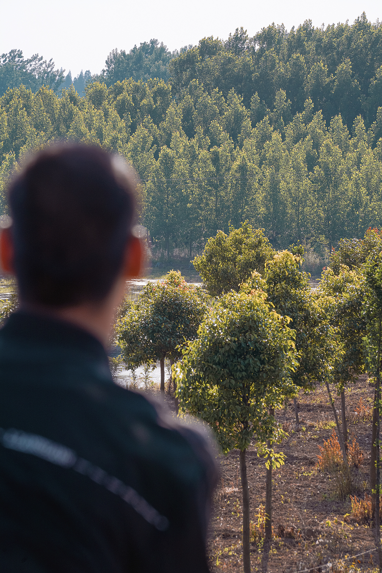 在田间,感受风的气息