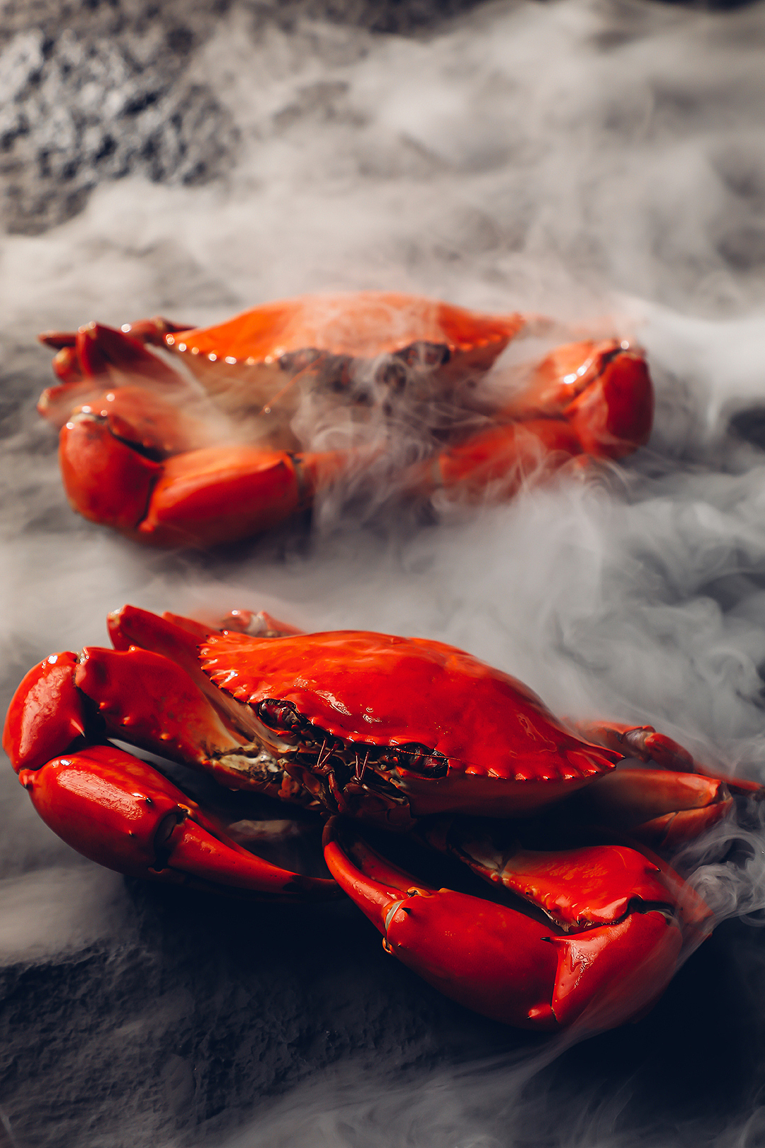 北京美食摄影上门拍摄丨菜品拍照丨海鲜姿造丨糟粕醋