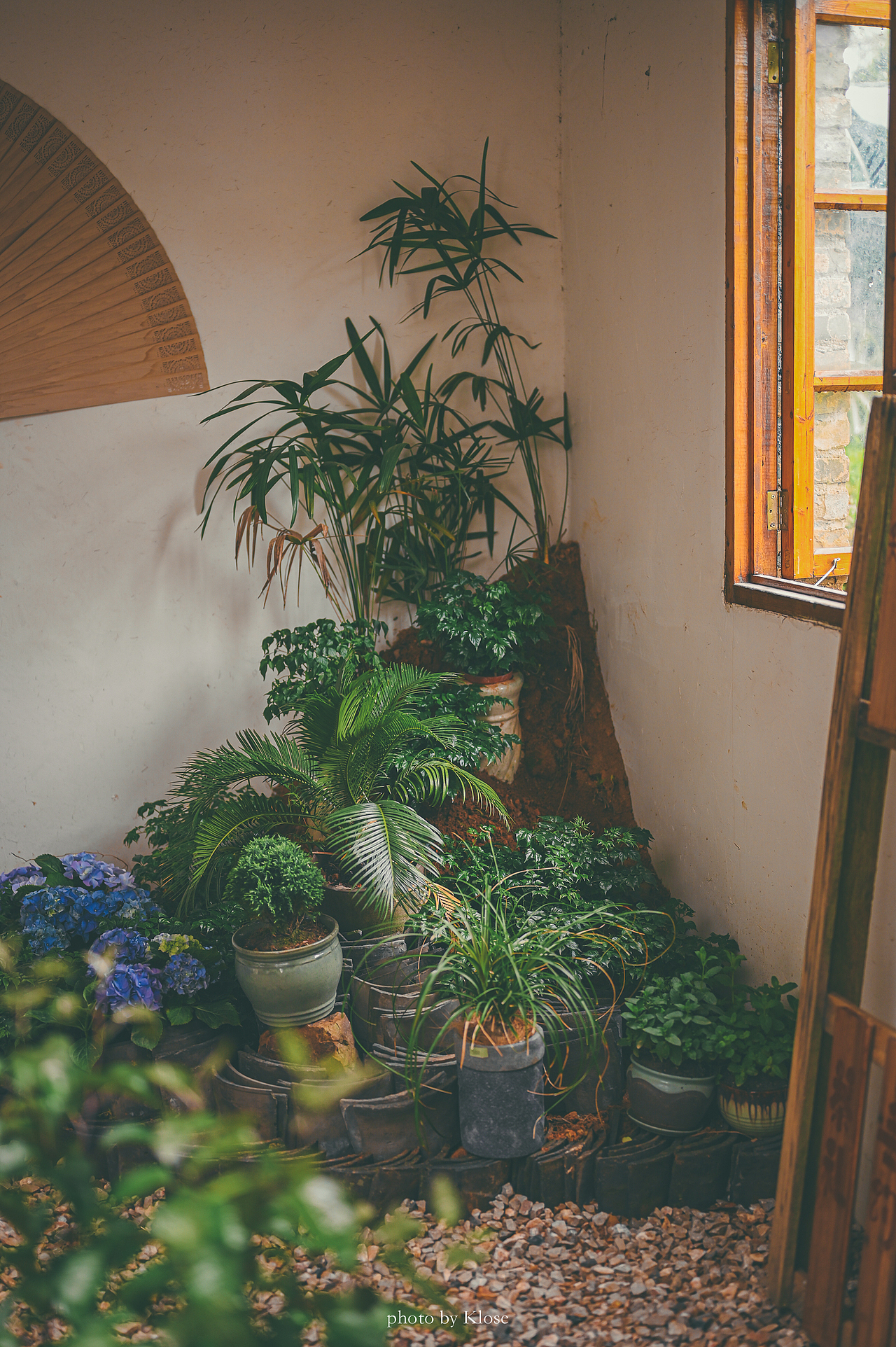 宜兴张渚镇--知邑咖啡馆 店拍图案例