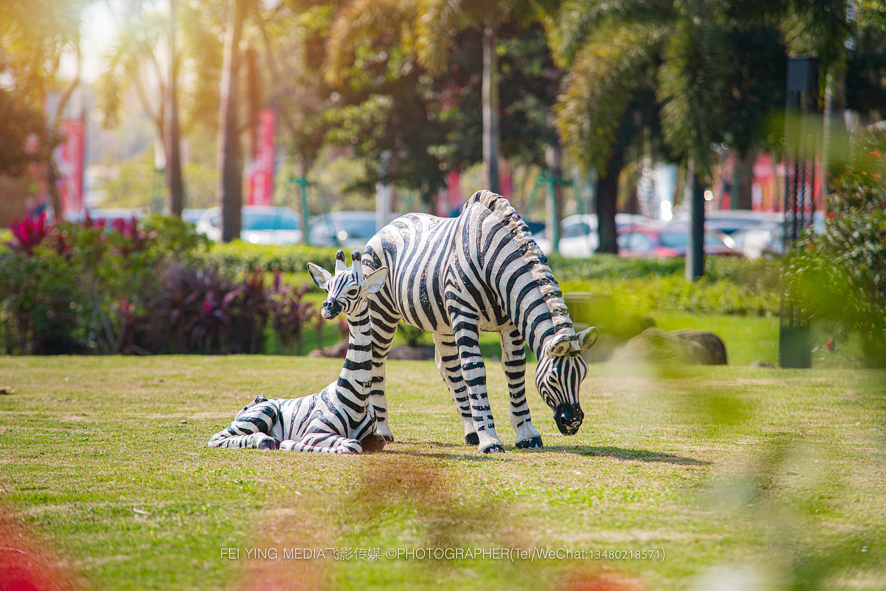 空间摄影｜金地自在城 