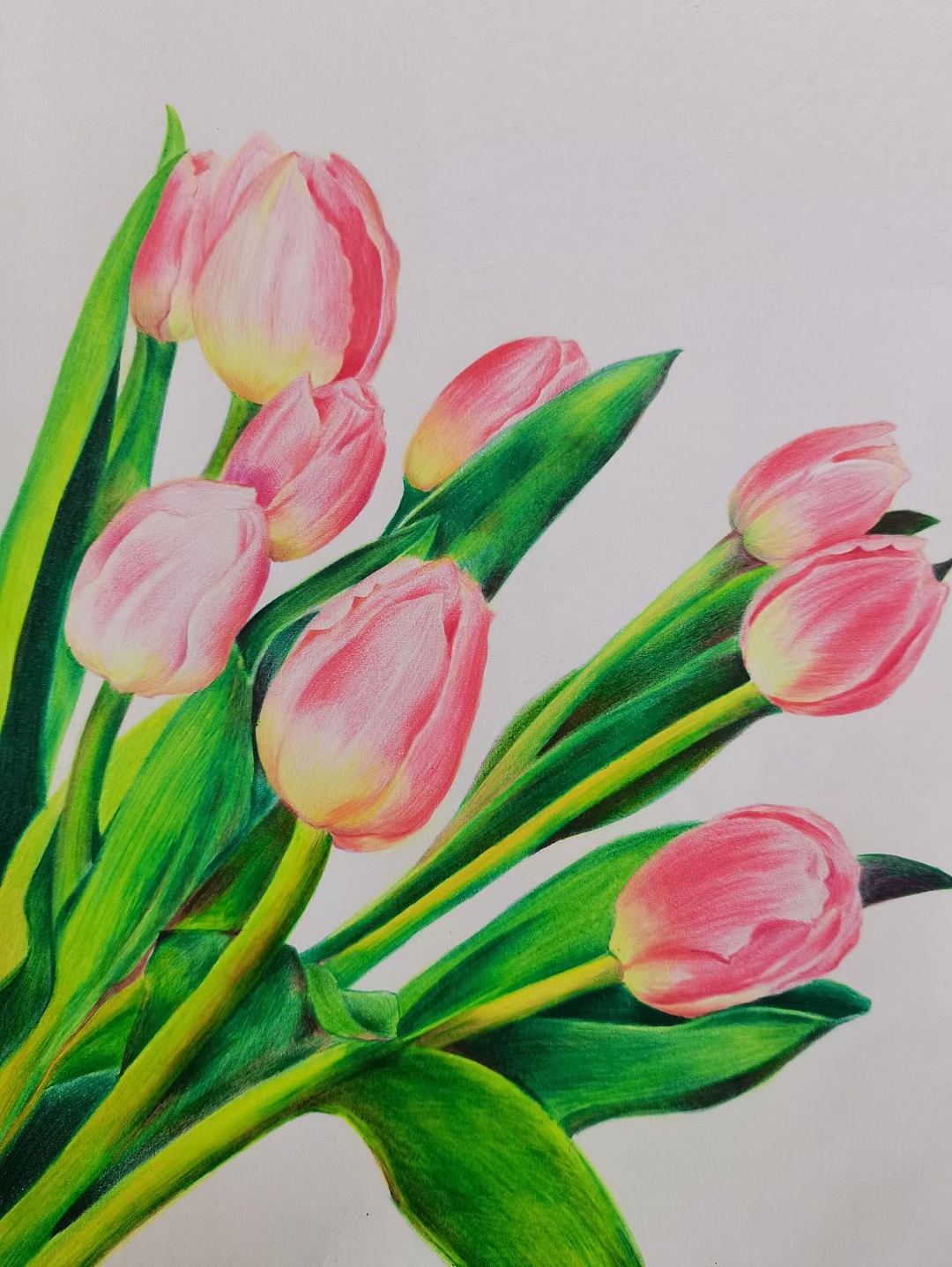 手绘打卡练习28