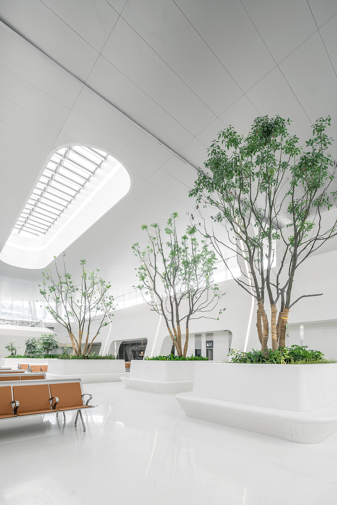 空间摄影｜“森林中的火车站”—嘉兴火车站（图ZMzE1NzE3Nzgw） - 环境/建筑摄影 - 站酷设计师摄影师白鸽原创素材 - 站酷ZCOOL