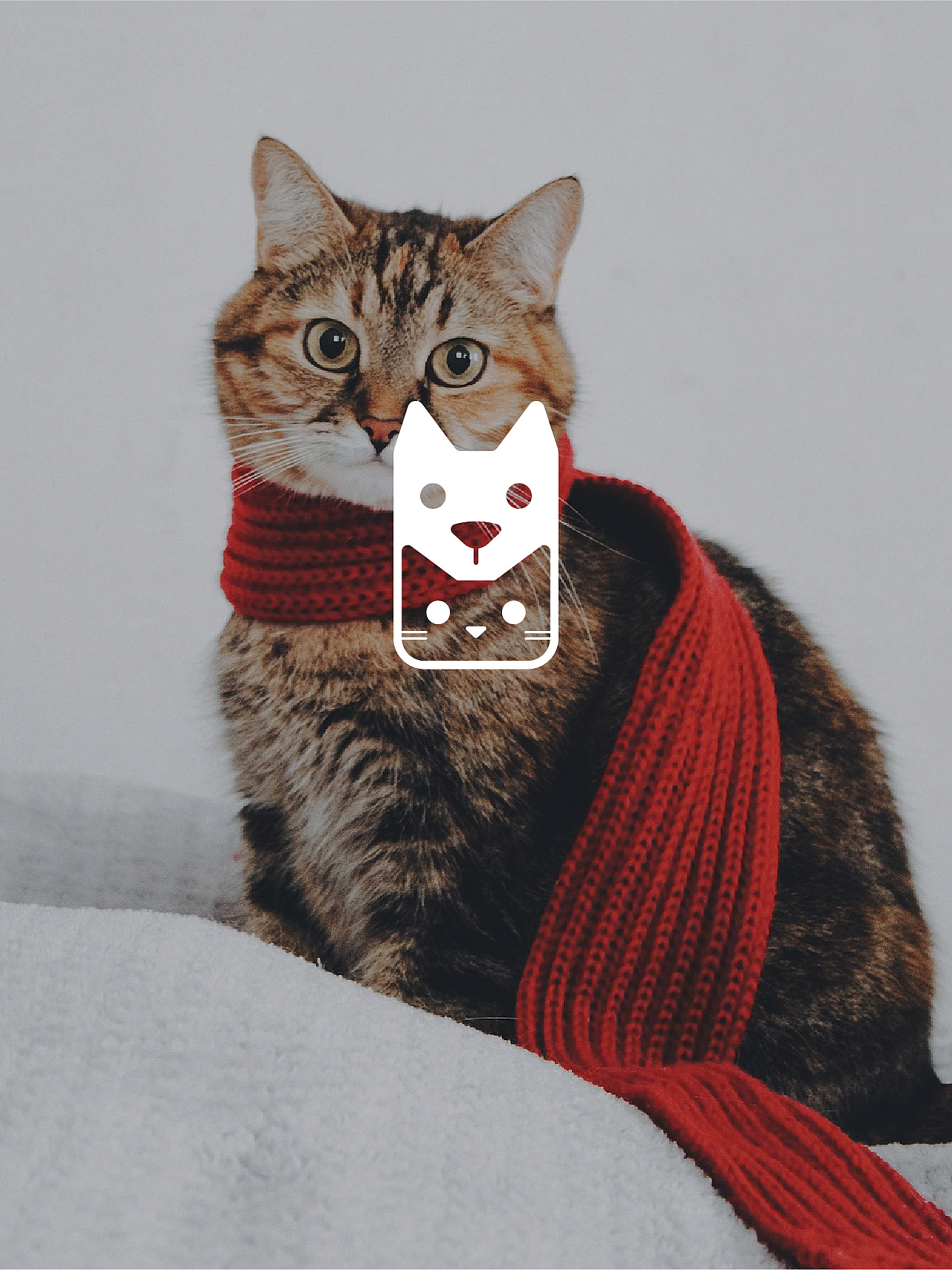 DIDICAT原创设计 | 一家有温度的宠物品牌（图ZMzU5NTUwMjMy） - Logo - 站酷设计师A_tlas原创素材 - 站酷ZCOOL