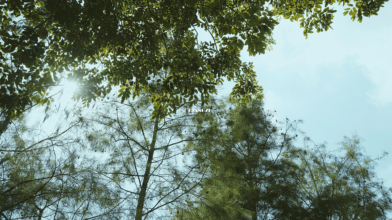 《徒步的意义》VLOG视频微短片（图ZMzQ0OTUxODky） - 宣传片 - 站酷设计师圈点摄影强子视界原创素材 - 站酷ZCOOL