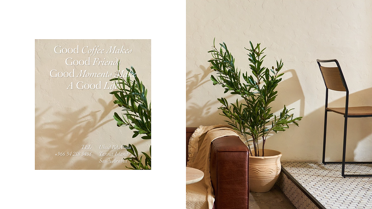 Zayan Cafe 中东咖啡馆品牌设计