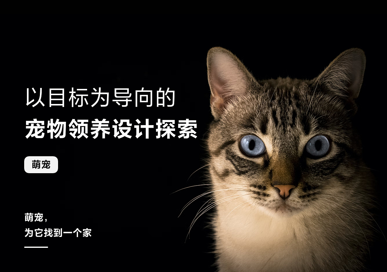 设计案例｜宠物领养社区解决方案探索（图ZMzIzNjMyOTgw） - APP界面 - 站酷设计师SorcererDesign原创素材 - 站酷ZCOOL