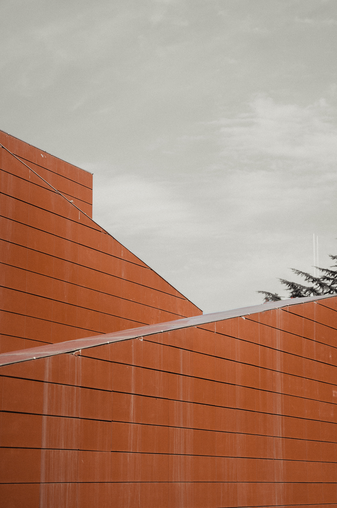 2023城市摄影作品