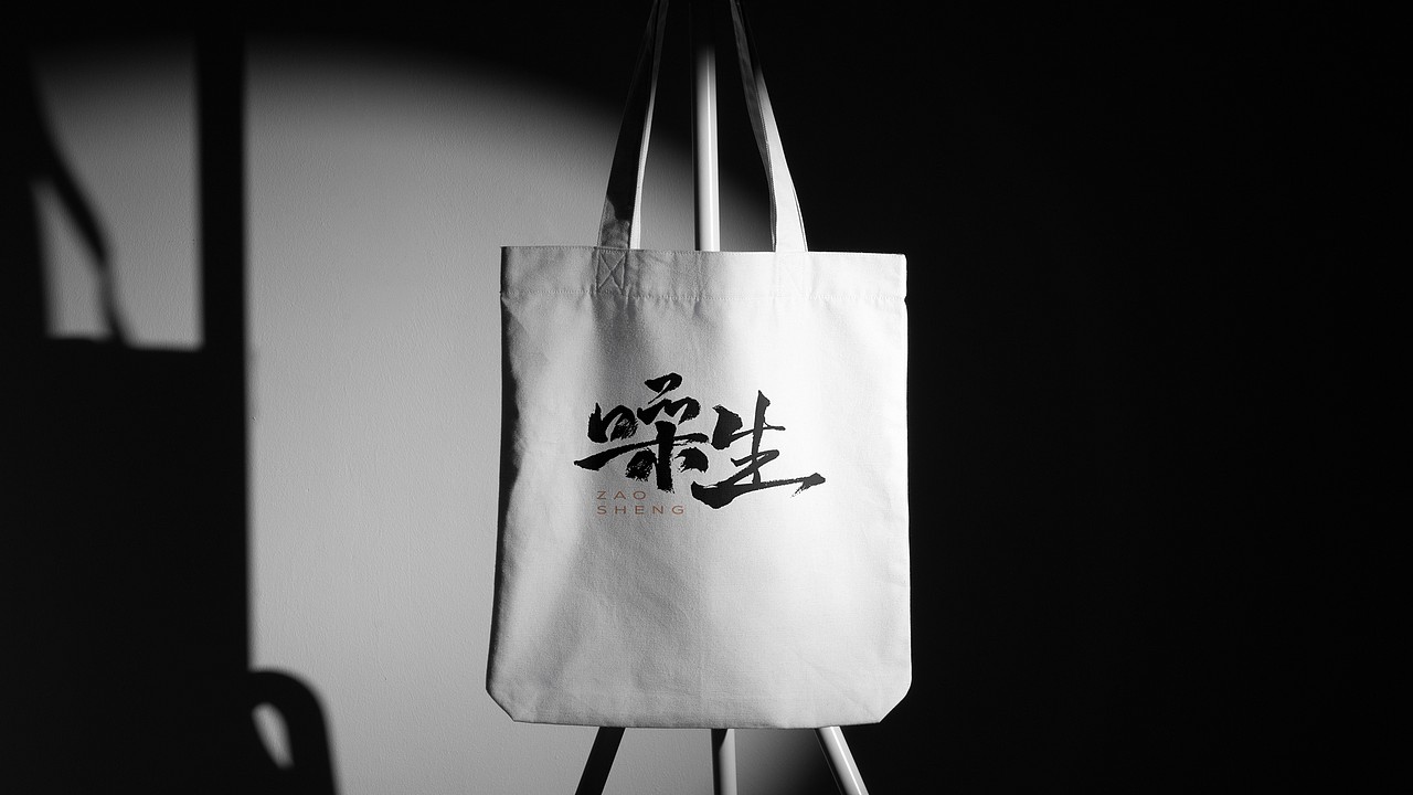 原创logo设计|被鸽掉的方案像没娘的孩子没人爱