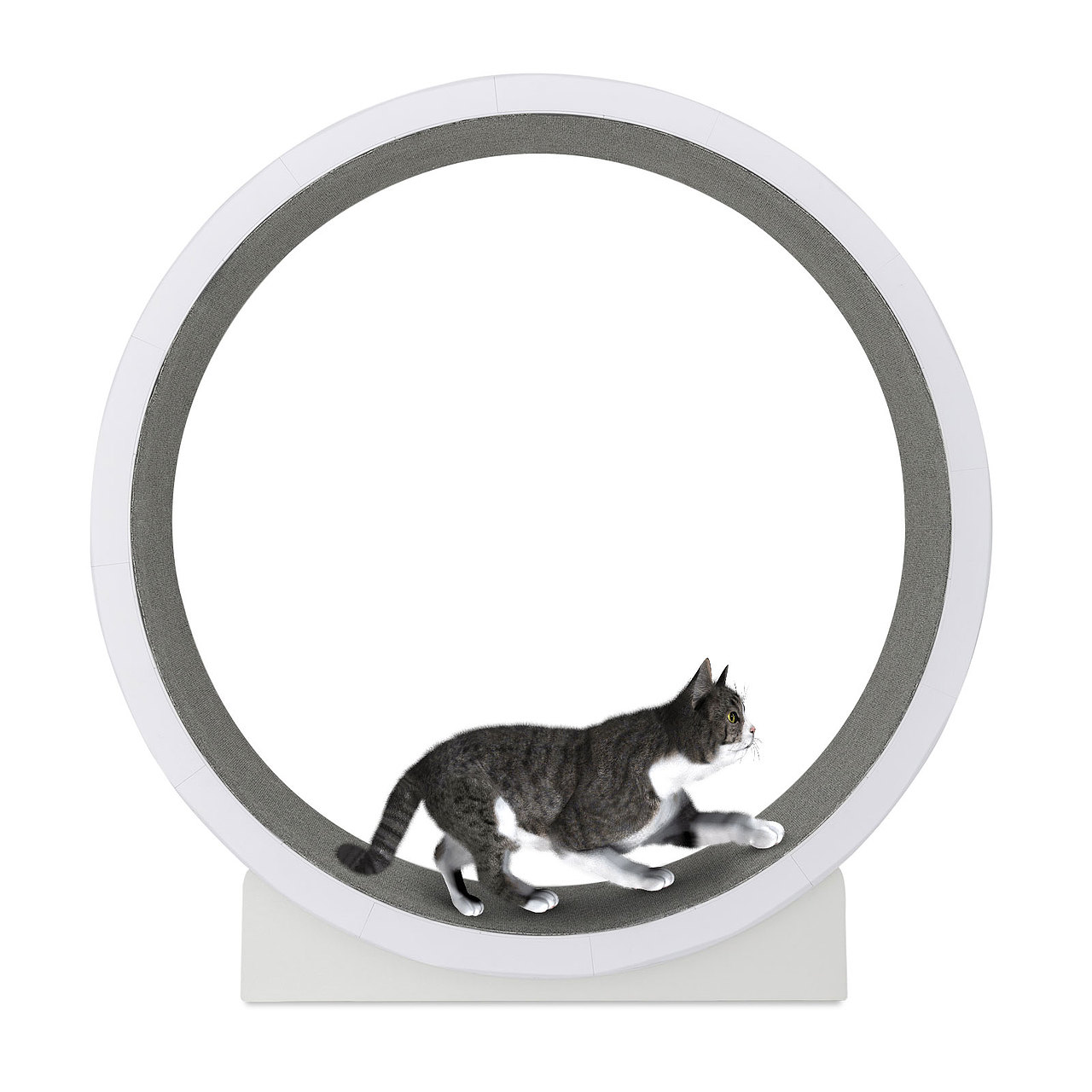 亚马逊主图（猫轮）（图ZMzIwNjExNzIw） - 电商 - 站酷设计师茶杯泡枸杞原创素材 - 站酷ZCOOL