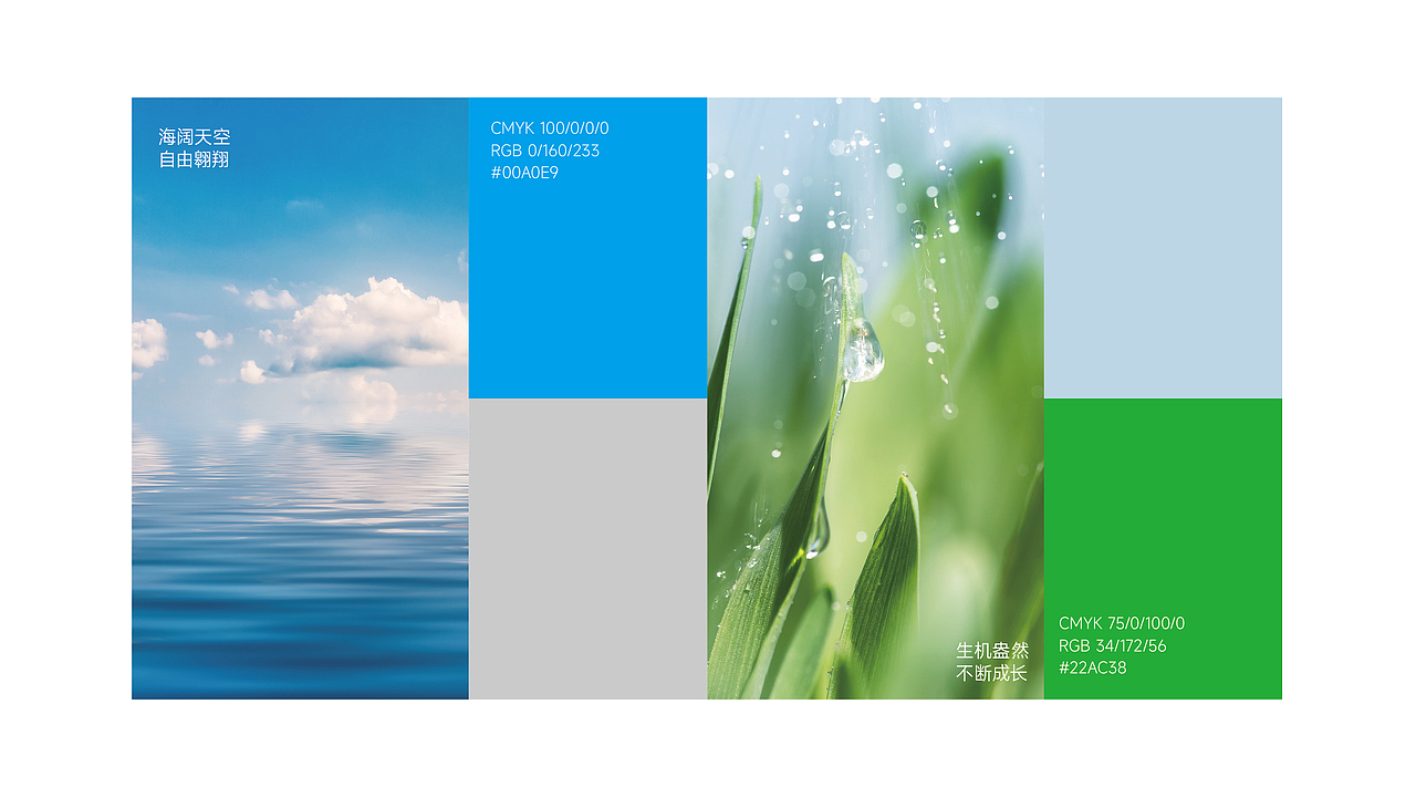 常春藤国际人才港LOGO设计