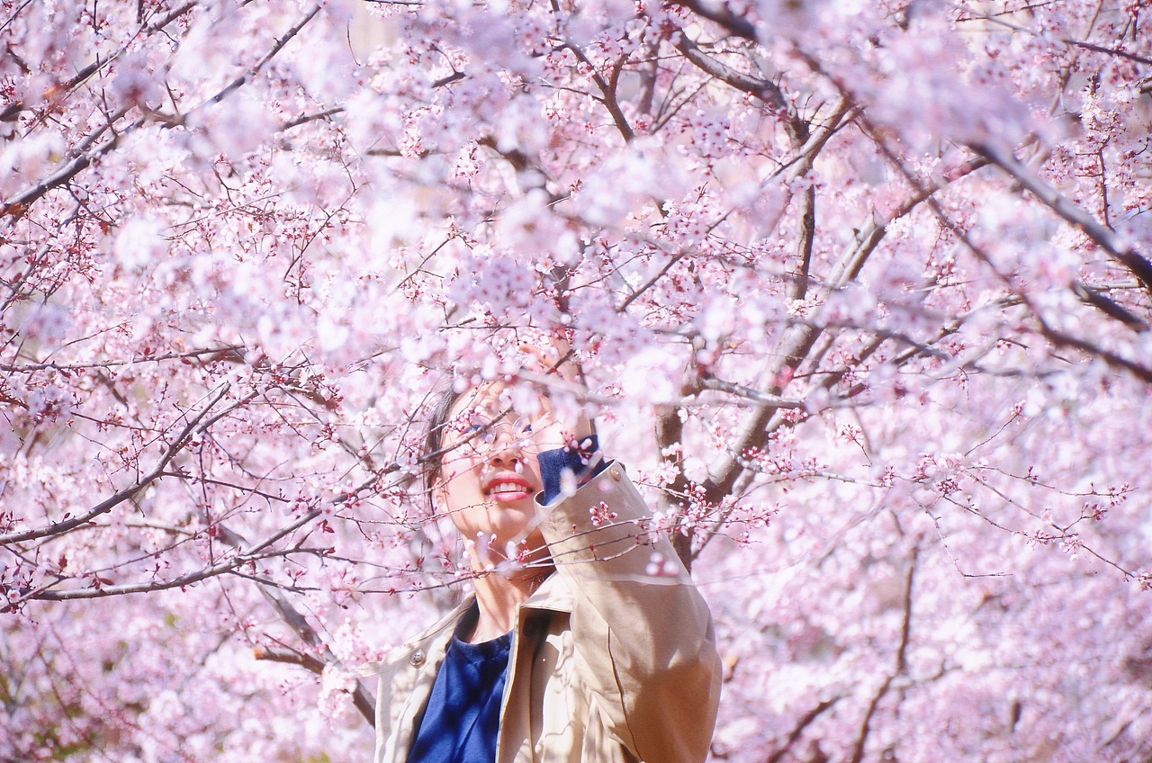 多巴胺季節(jié)（圖ZMzUyMzQ3NjA4） - 風(fēng)光攝影 - 站酷設(shè)計師華北王祖賢原創(chuàng)素材 - 站酷ZCOOL