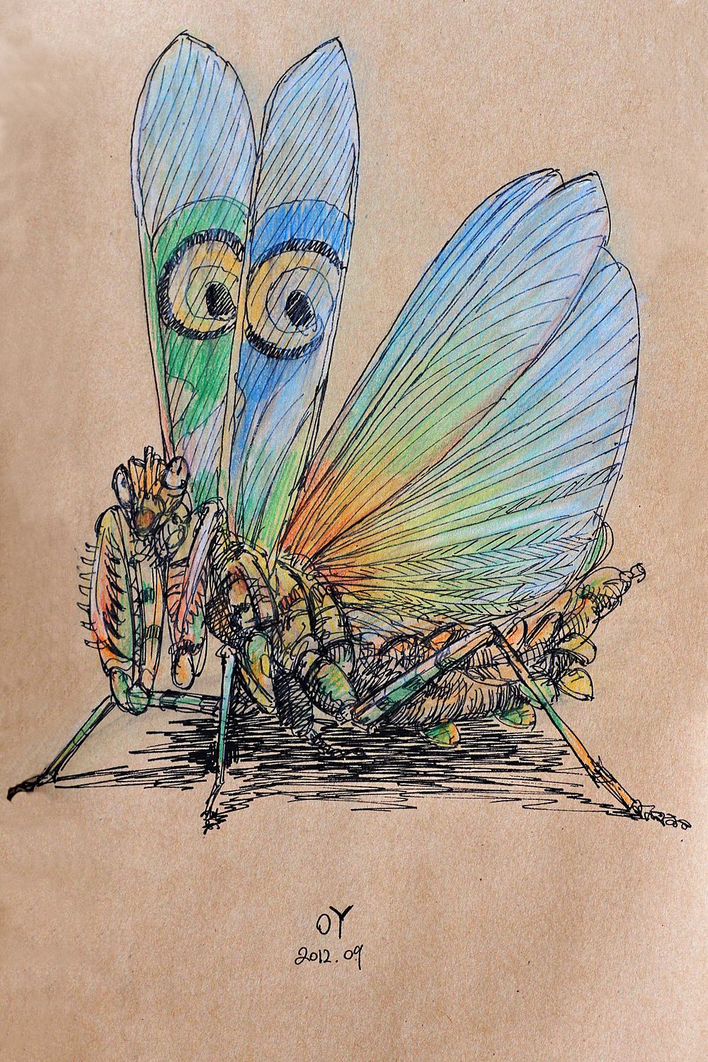 oy手绘:昆虫速写