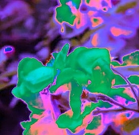 一些通过改色相饱和度对比度的摄影作业