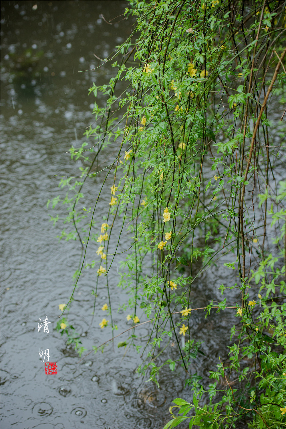 清明~（图ZMTExNjcwMjA0） - 风光摄影 - 站酷设计师马丁的老相机原创素材 - 站酷ZCOOL