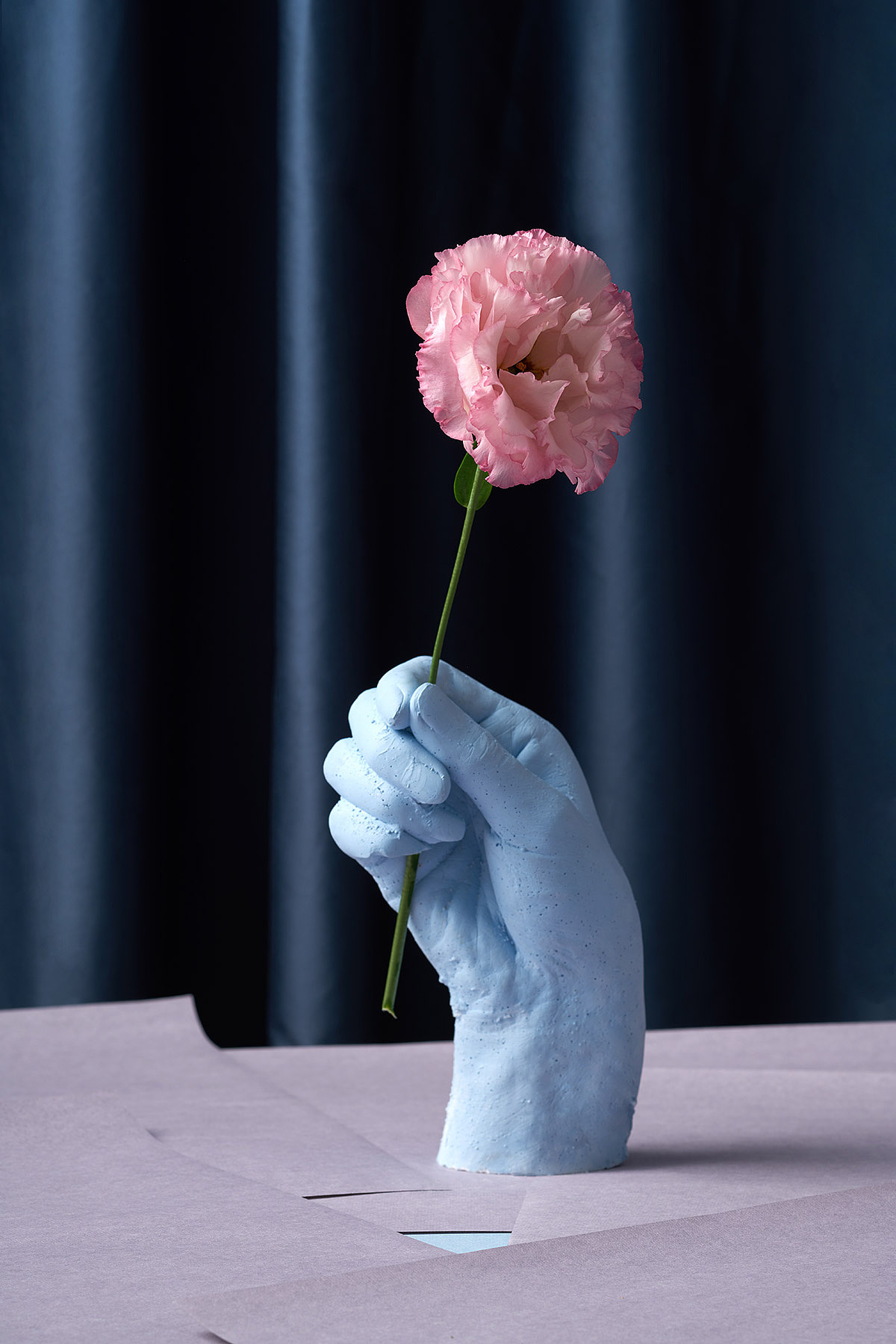 花和手（图ZMTk5MzM5MDQ4） - 产品摄影 - 站酷设计师光之原野原创素材 - 站酷ZCOOL