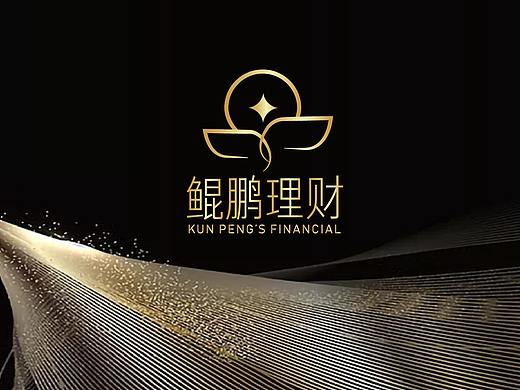 鲲鹏理财品牌LOGO设计（包含主形象及部分延展）