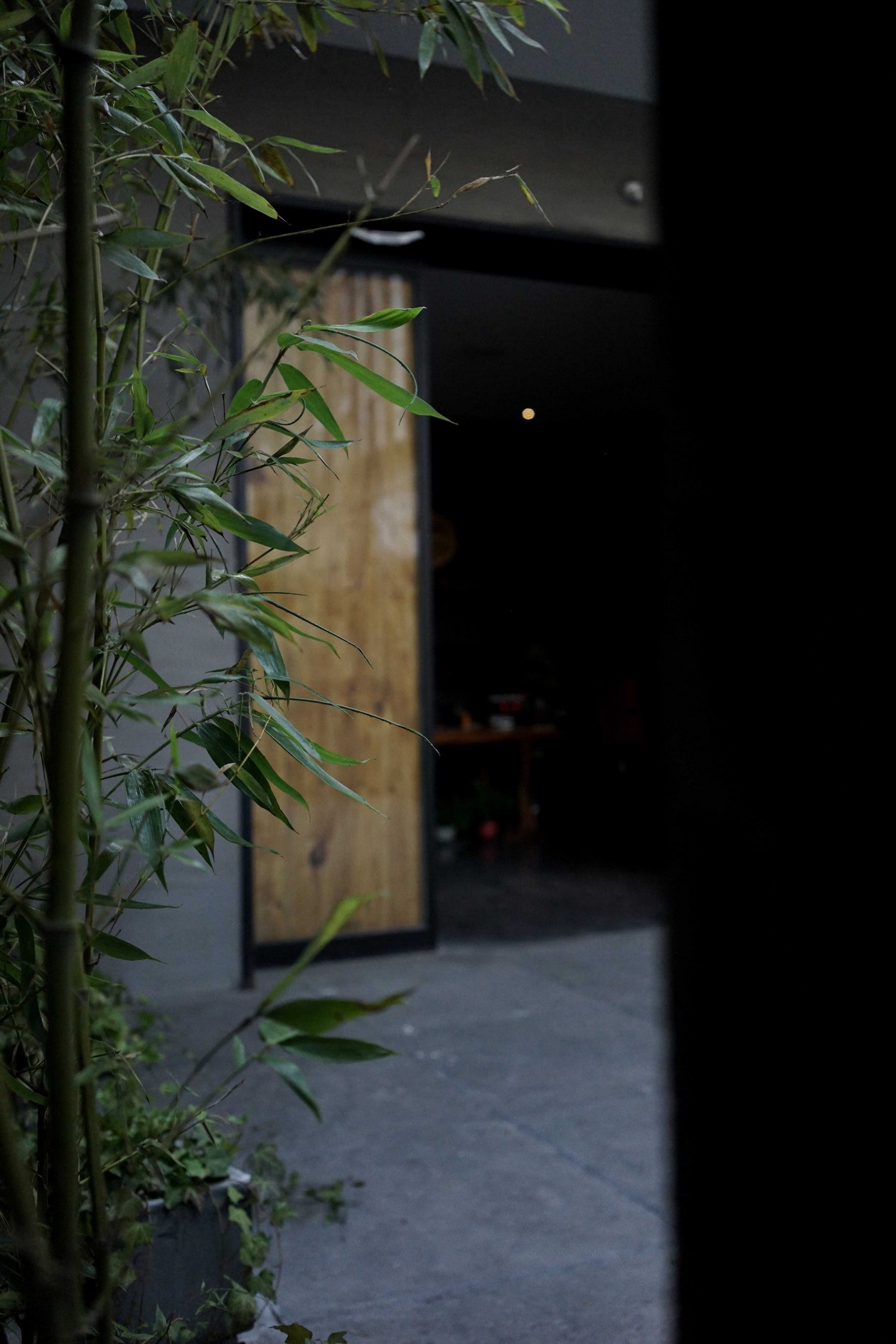 觅作品 | 隐匿于城市之间的竹林茶舍