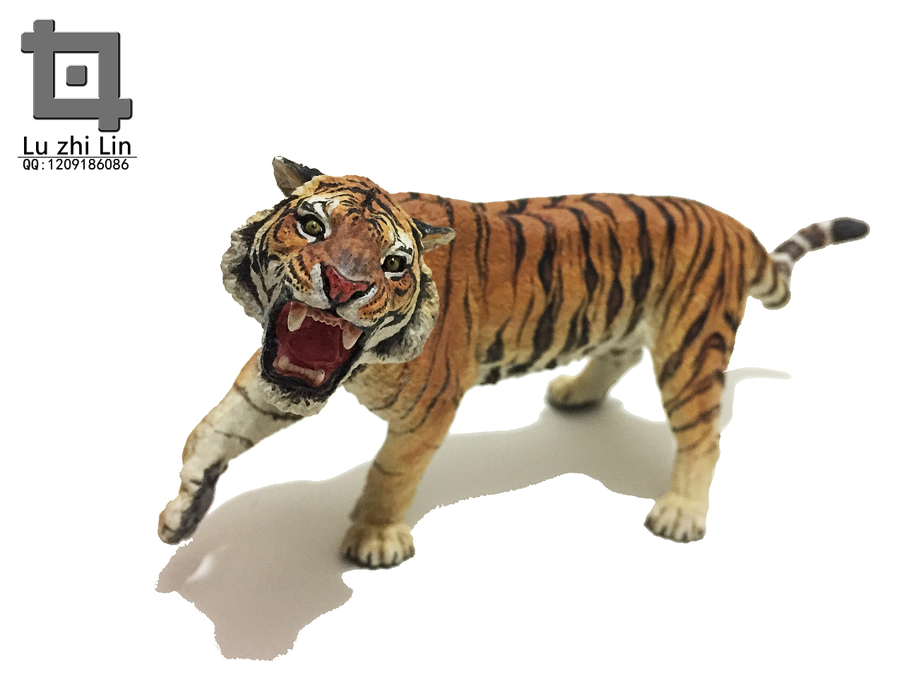 动物模型 老虎展示