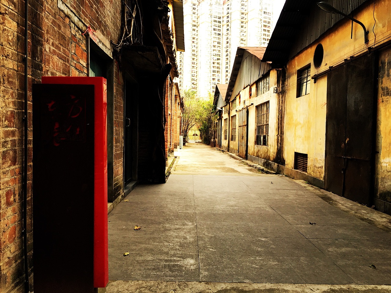 杂志可用的照片哦 果然照片还是自己找的好