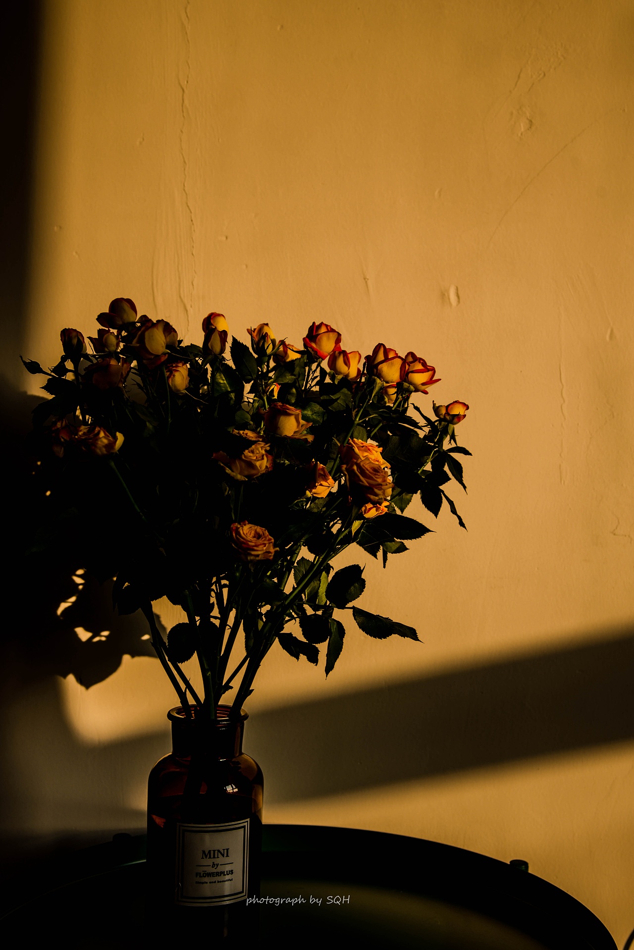 落日款多头玫瑰拍摄