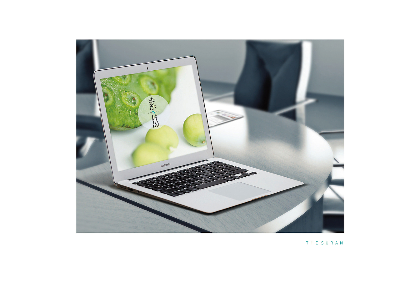 素然 <品牌设计> VI手册  海报