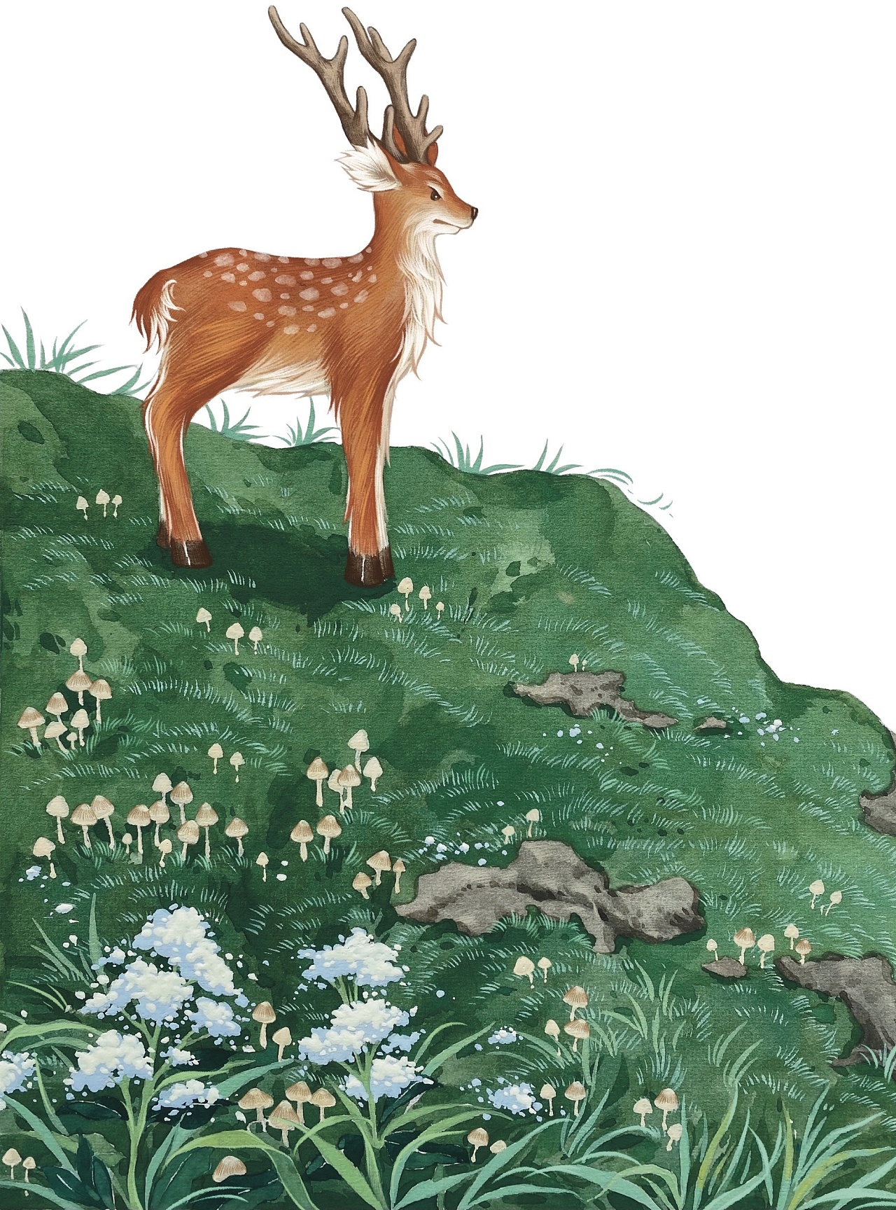 内插|小鹿斑比|已出版|插画|儿童插画|红糖ht - 原创作品 - 站酷