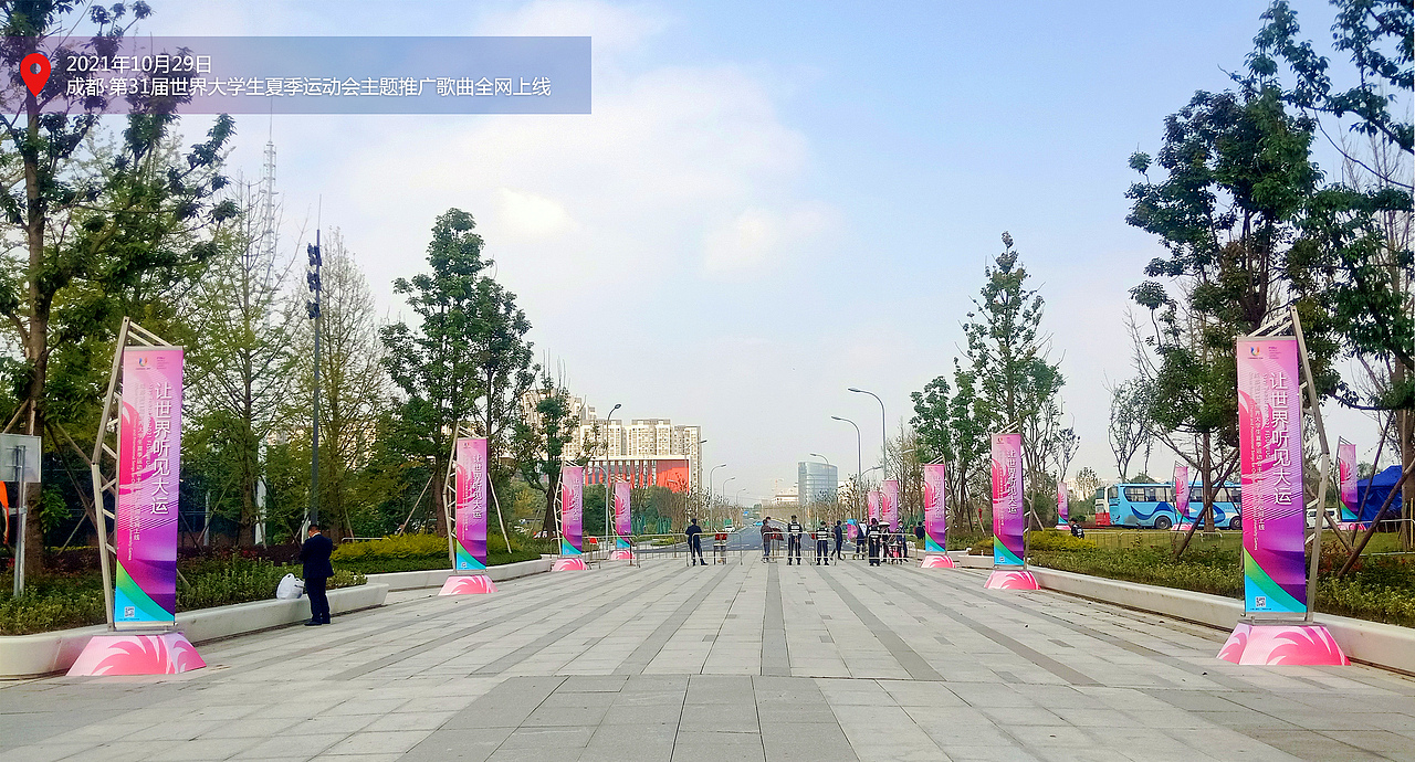 道旗成都大运会地产道旗迎宾道旗活动道旗