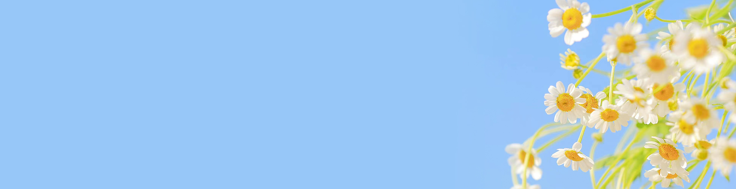 可愛的大石頭的個人主頁（封面預覽） - 主頁封面設(shè)置 - 站酷設(shè)計師可愛的大石頭原創(chuàng)素材 - 站酷ZCOOL