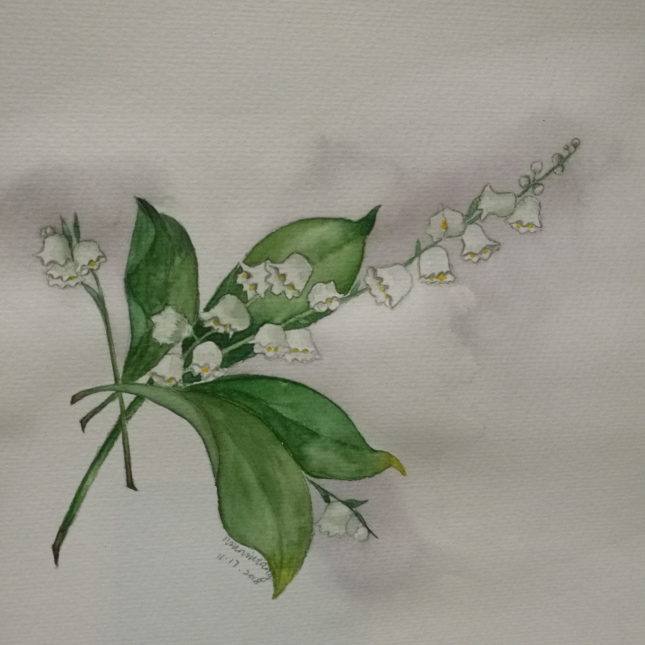 2年前 56 0 0 niuniutang1705 南京  |  插画师 原创  -  插画