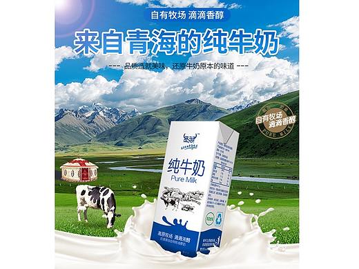 纯牛奶详情页