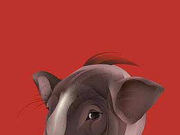 GUCCI祝福-豬年大吉