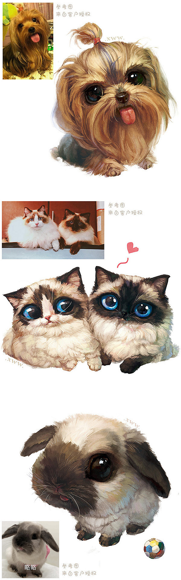【萌宠定制版】合集(二)