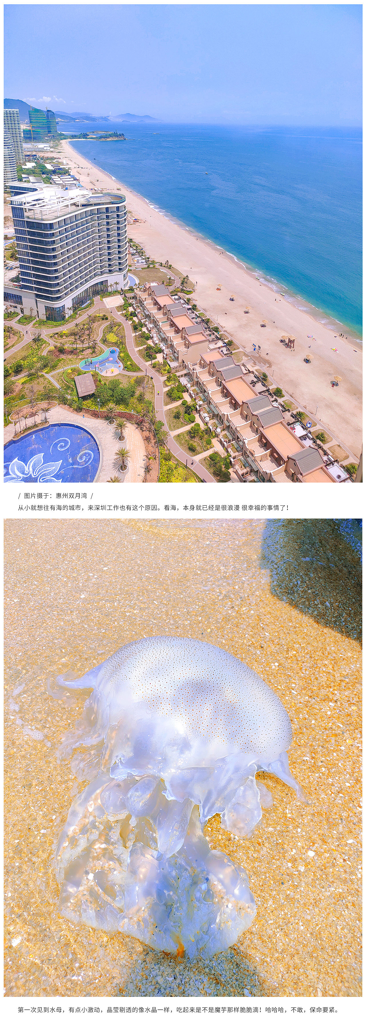 日常碎片 | Everyday fragments（图ZMjYxMTYzNTky） - 风光摄影 - 站酷设计师木子裙裙原创素材 - 站酷ZCOOL