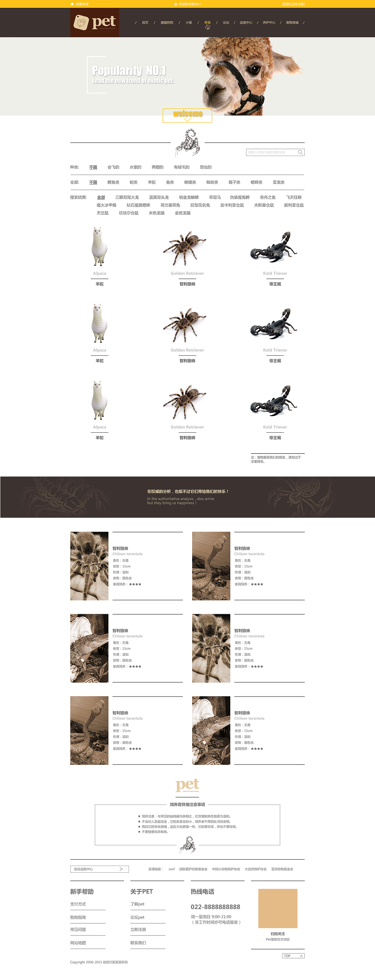 宠物平台（图ZODQ4MjQ3OTY=） - 企业官网 - 站酷设计师小叮当anan原创素材 - 站酷ZCOOL