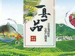 湖南电商扶贫【一县一品】 步步高超市促销2017