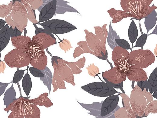 高级淡雅花卉插画《簌花之集》 莫兰迪色系