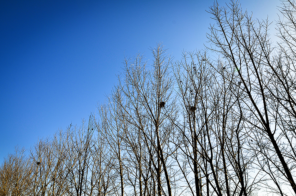 北大未名集团留影II